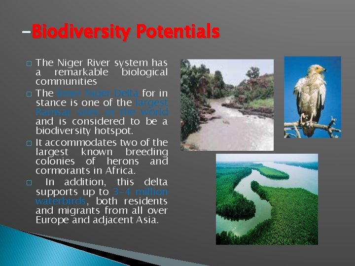 -Biodiversity Potentials � � The Niger River system has a remarkable biological communities The
