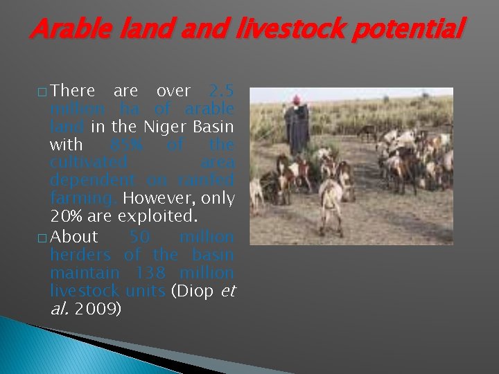 Arable land livestock potential � There are over 2. 5 million ha of arable