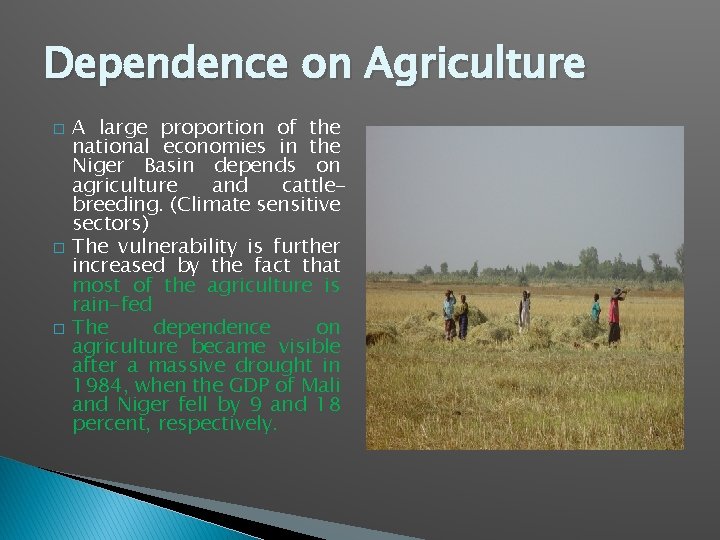 Dependence on Agriculture � � � A large proportion of the national economies in