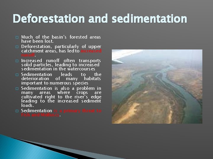 Deforestation and sedimentation � � � Much of the basin’s forested areas have been