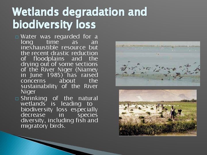 Wetlands degradation and biodiversity loss � � Water was regarded for a long time