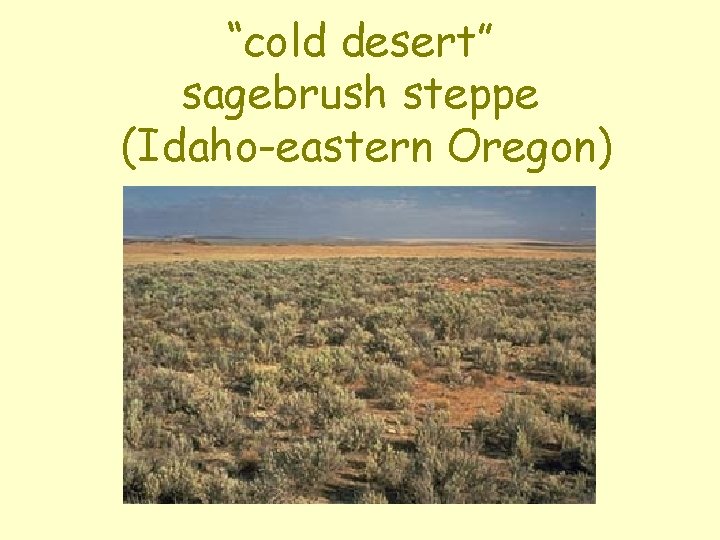 “cold desert” sagebrush steppe (Idaho-eastern Oregon) 