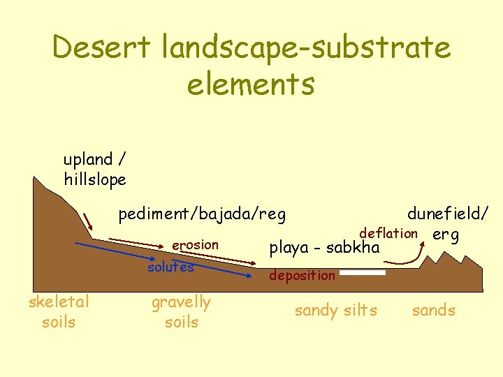 Desert landscape-substrate elements upland / hillslope pediment/bajada/reg erosion solutes skeletal soils gravelly soils dunefield/