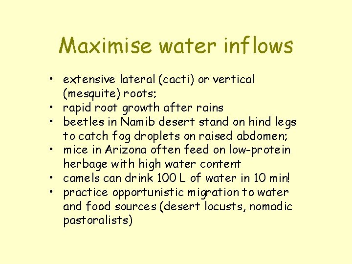 Maximise water inflows • extensive lateral (cacti) or vertical (mesquite) roots; • rapid root