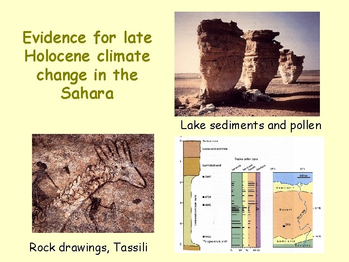 Evidence for late Holocene climate change in the Sahara Lake sediments and pollen Rock