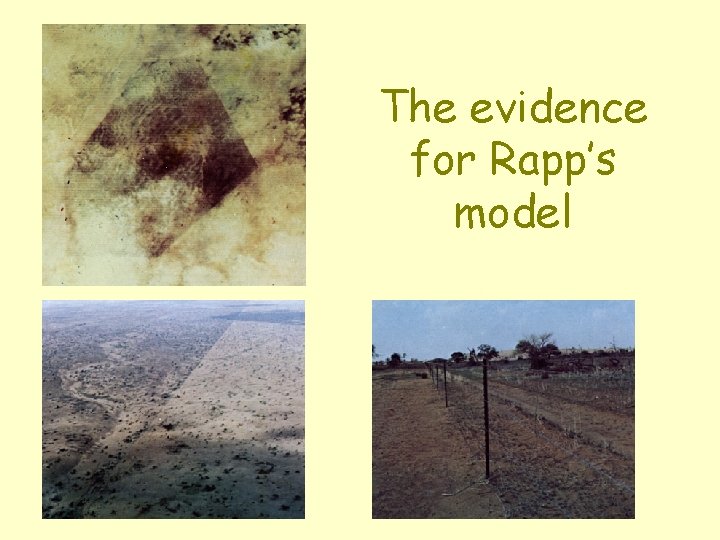 The evidence for Rapp’s model 