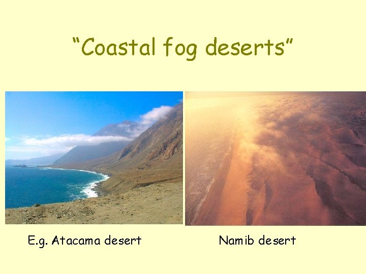 “Coastal fog deserts” E. g. Atacama desert Namib desert 