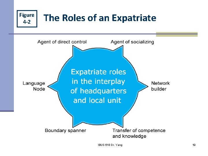 Figure 4 -2 The Roles of an Expatriate IHRM Chapter 4 IBUS 618 Dr.