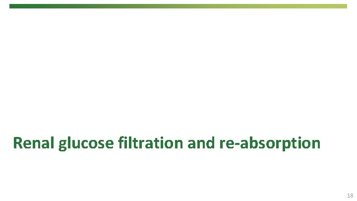 Renal glucose filtration and re-absorption 18 