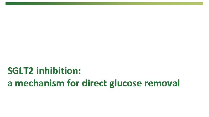 SGLT 2 inhibition: a mechanism for direct glucose removal 