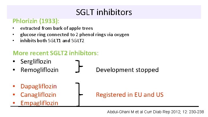 Phlorizin (1933): • • • SGLT inhibitors extracted from bark of apple trees glucose