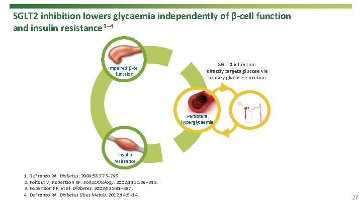 SGLT 2 inhibition lowers glycaemia independently of β-cell function and insulin resistance 1– 4