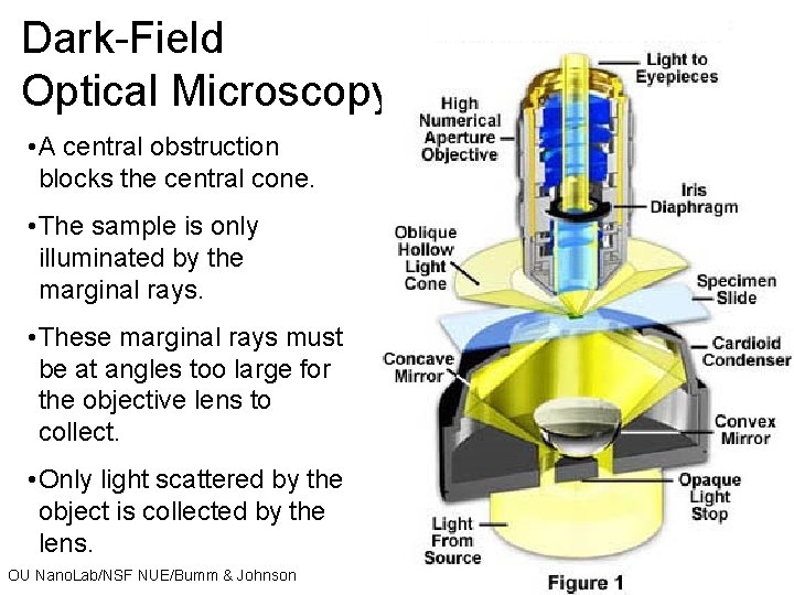 Dark-Field Optical Microscopy • A central obstruction blocks the central cone. • The sample