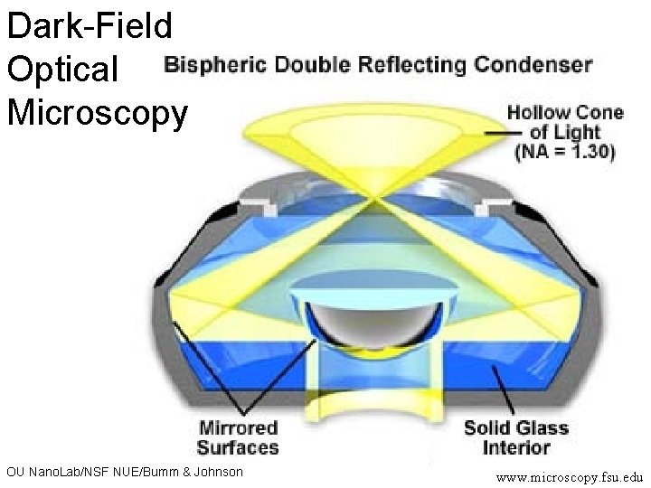 Dark-Field Optical Microscopy OU Nano. Lab/NSF NUE/Bumm & Johnson www. microscopy. fsu. edu 