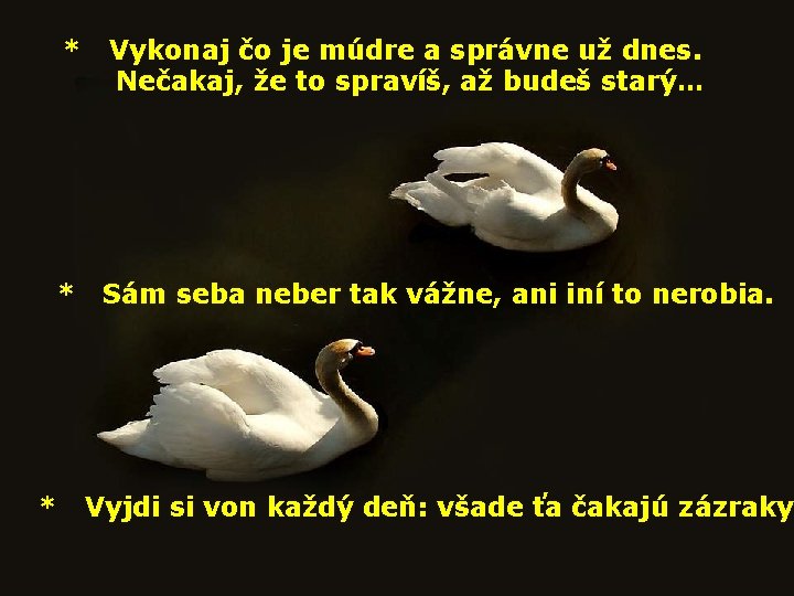  * Vykonaj čo je múdre a správne už dnes. Nečakaj, že to spravíš,