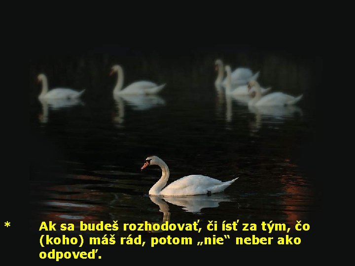 * Ak sa budeš rozhodovať, či ísť za tým, čo (koho) máš rád, potom