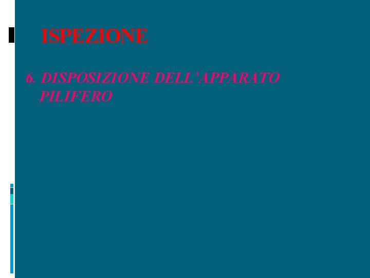 ISPEZIONE 6. DISPOSIZIONE DELL’APPARATO PILIFERO 