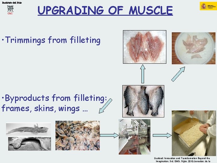 Instituto del Frío UPGRADING OF MUSCLE • Trimmings from filleting • Byproducts from filleting: