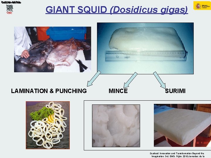 Institutodel del. Frío GIANT SQUID (Dosidicus gigas) LAMINATION & PUNCHING MINCE SURIMI Seafood: Innovation