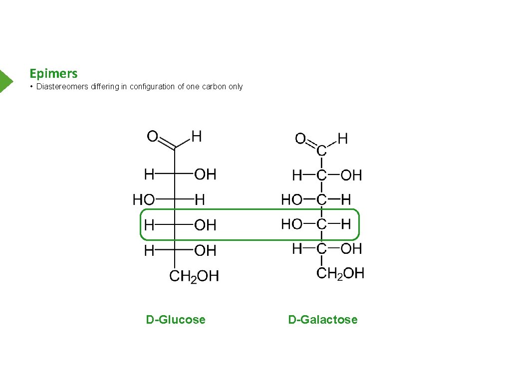 Epimers • Diastereomers differing in configuration of one carbon only D-Glucose D-Galactose 