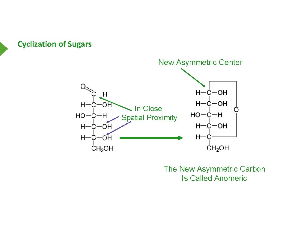 Cyclization of Sugars New Asymmetric Center In Close Spatial Proximity The New Asymmetric Carbon