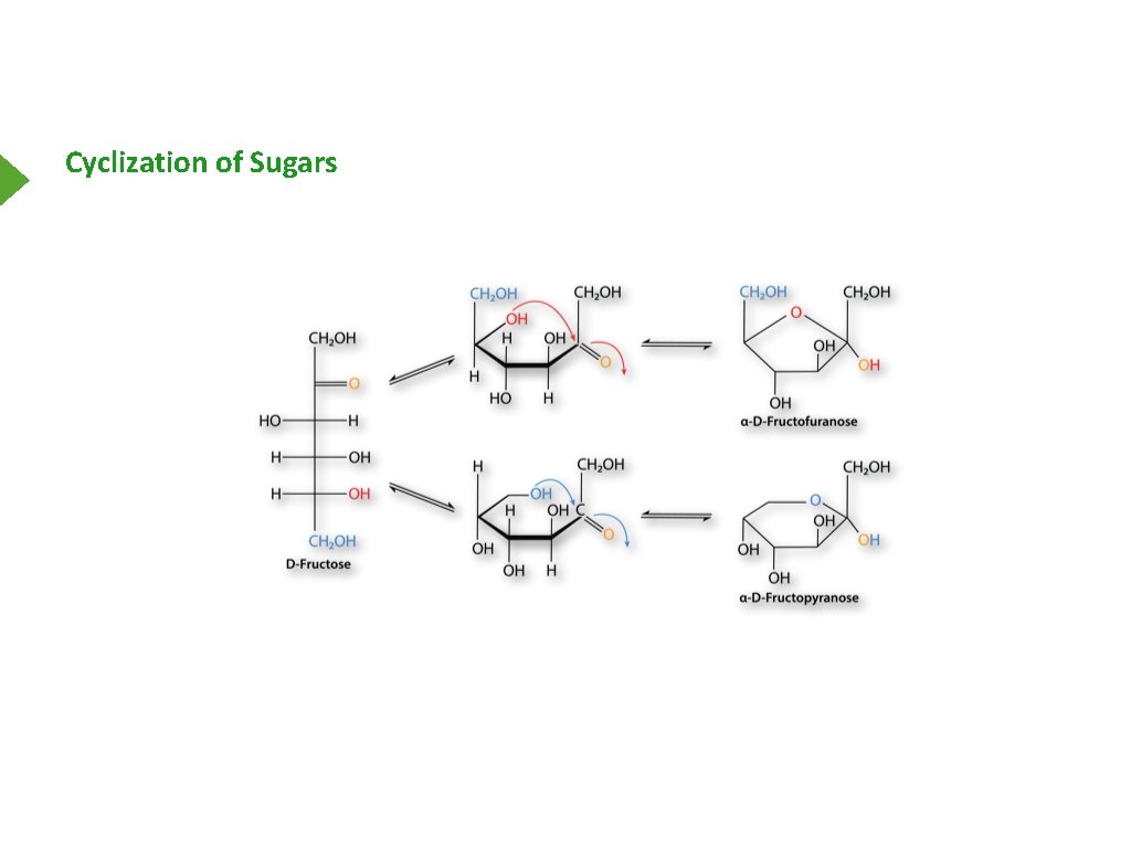 Cyclization of Sugars 