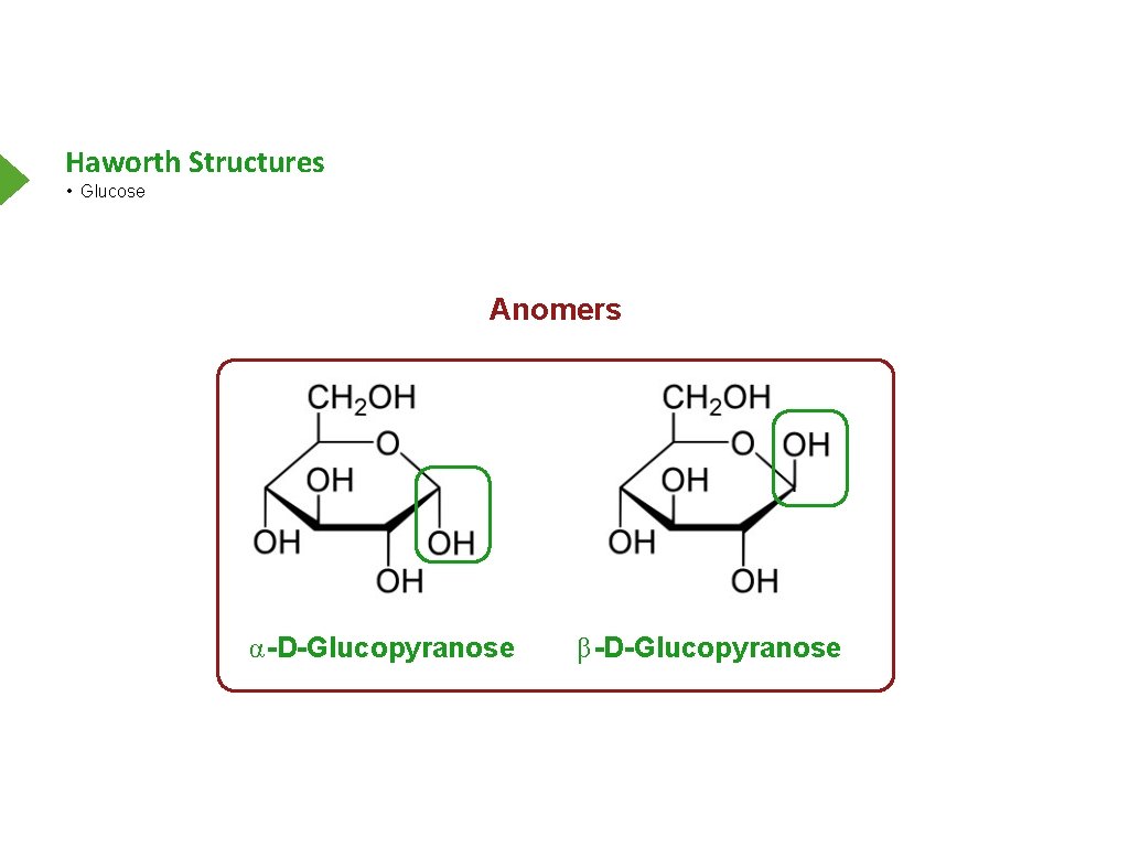 Haworth Structures • Glucose Anomers α-D-Glucopyranose β-D-Glucopyranose 