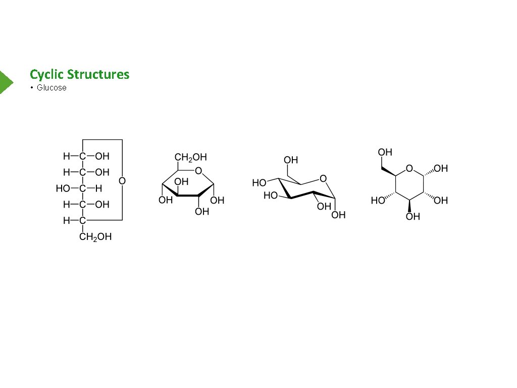 Cyclic Structures • Glucose 