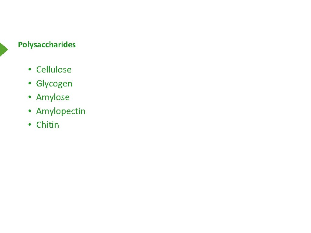 Polysaccharides • • • Cellulose Glycogen Amylose Amylopectin Chitin 