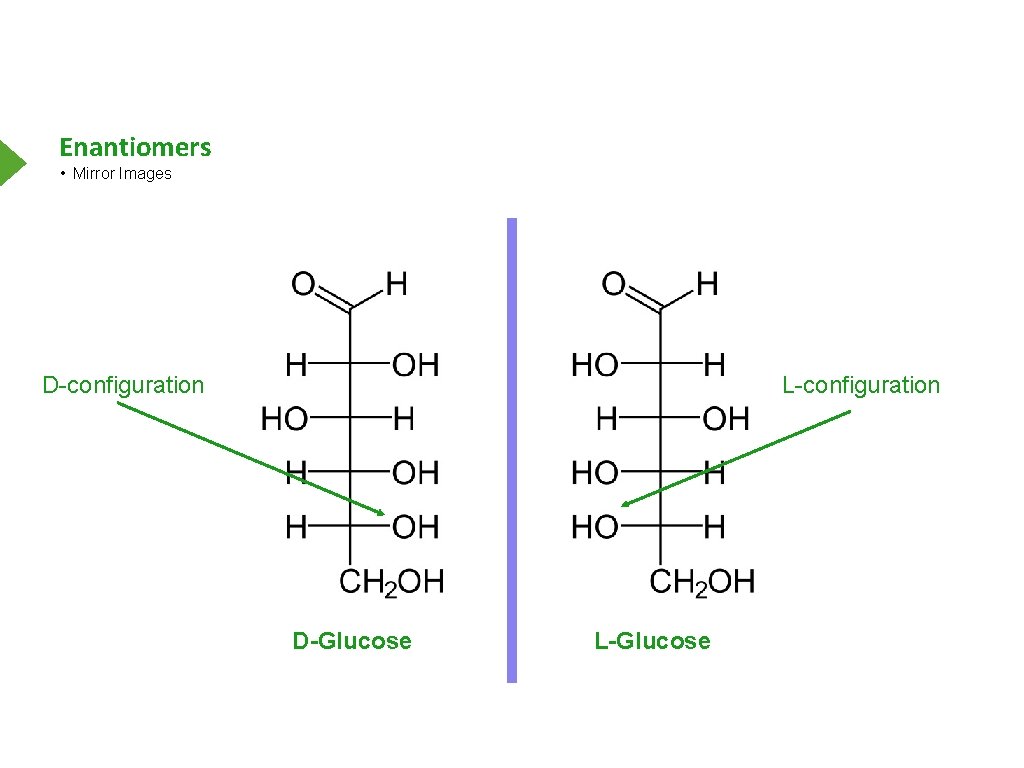 Enantiomers • Mirror Images D-configuration L-configuration D-Glucose L-Glucose 
