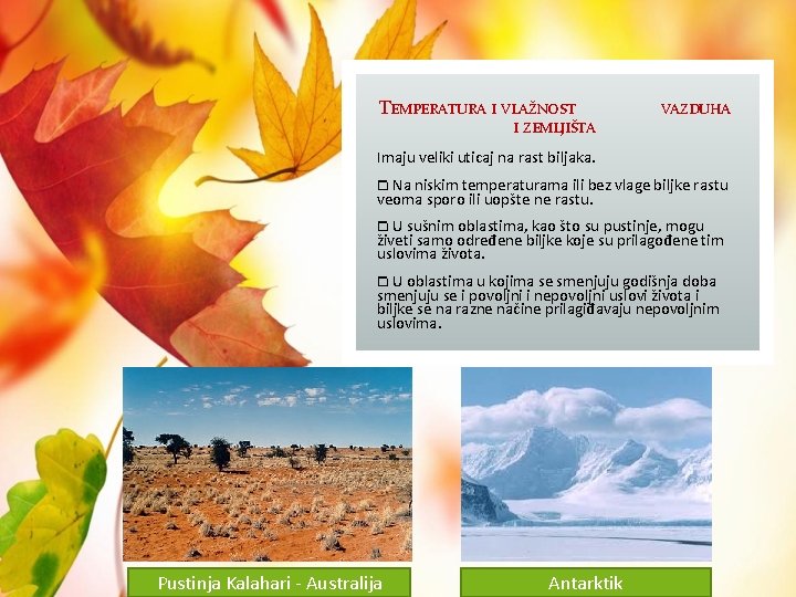 TEMPERATURA I VLAŽNOST VAZDUHA I ZEMLJIŠTA Imaju veliki uticaj na rast biljaka. ⧠ Na TEMPERATURA I VLAŽNOST VAZDUHA I ZEMLJIŠTA Imaju veliki uticaj na rast biljaka. ⧠ Na