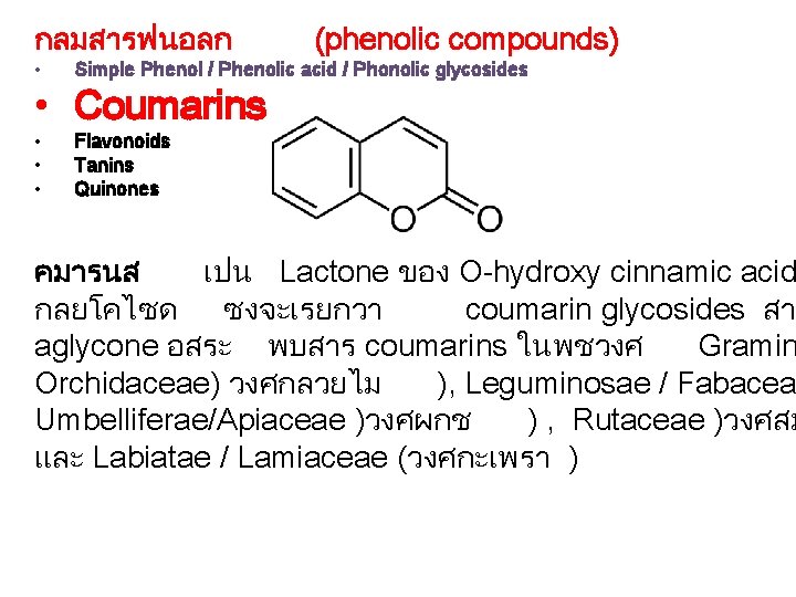 กลมสารฟนอลก (phenolic compounds) • Simple Phenol / Phenolic acid / Phonolic glycosides • •