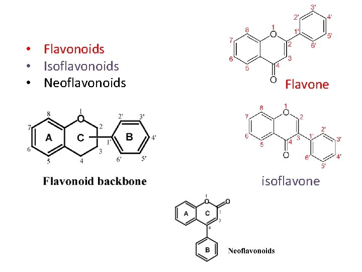  • Flavonoids • Isoflavonoids • Neoflavonoids Flavone isoflavone 