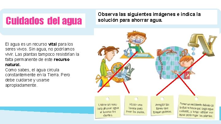 Cuidados del agua El agua es un recurso vital para los seres vivos. Sin