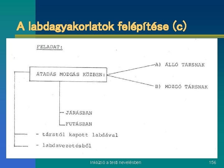 A labdagyakorlatok felépítése (c) Inklúzió a testi nevelésben 156 