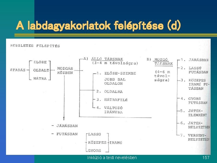 A labdagyakorlatok felépítése (d) Inklúzió a testi nevelésben 157 