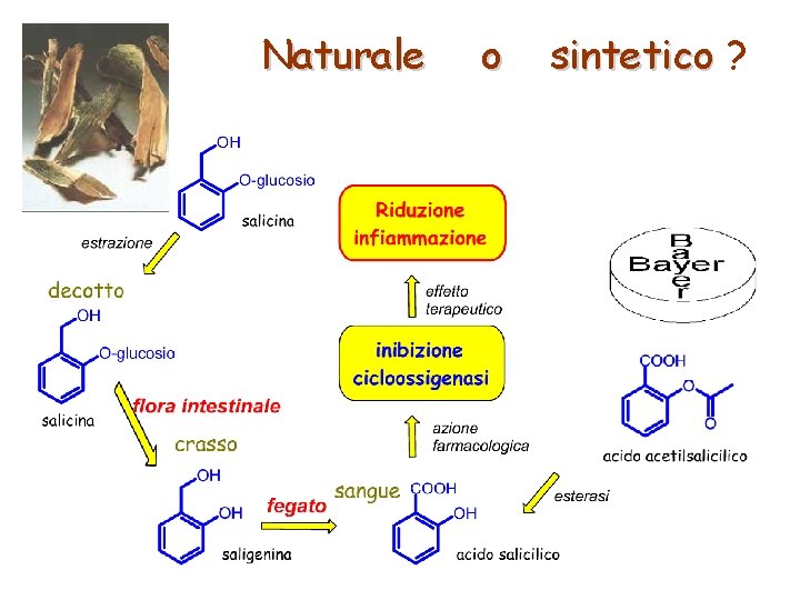 Naturale o sintetico ? 