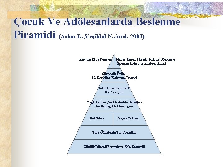 Çocuk Ve Adölesanlarda Beslenme Piramidi (Aslan D. , Yeşildal N. , Sted, 2003) Kırmızı