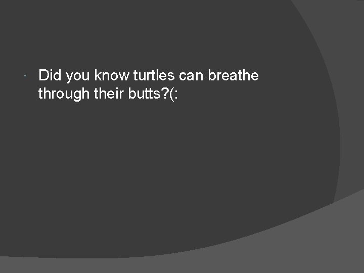 Did you know turtles can breathe through their butts? (: Did you know turtles can breathe through their butts? (: