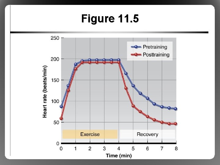 Figure 11. 5 Figure 11. 5