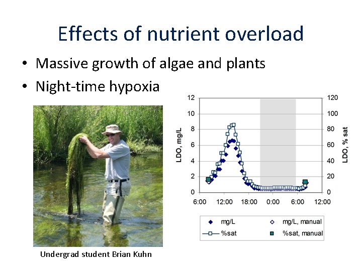 Effects of nutrient overload • Massive growth of algae and plants • Night-time hypoxia