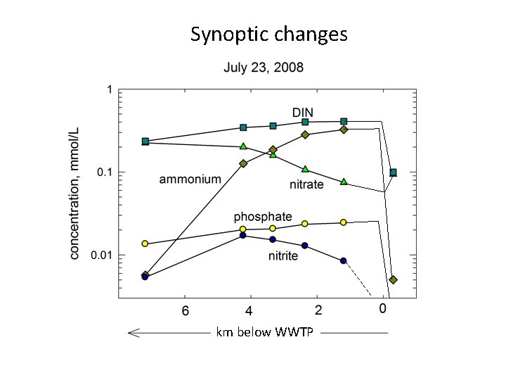 Synoptic changes km below WWTP 