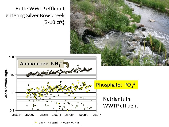 Butte WWTP effluent entering Silver Bow Creek (3 -10 cfs) Ammonium: NH 4+ Phosphate: