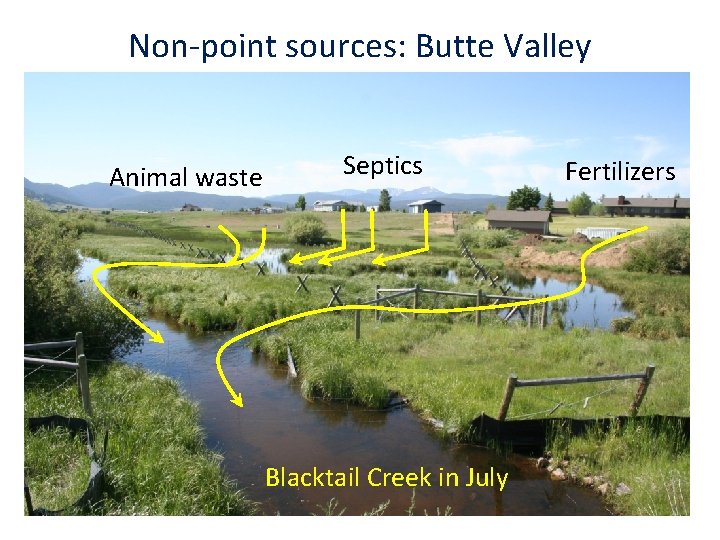 Non-point sources: Butte Valley Animal waste Septics Blacktail Creek in July Fertilizers 