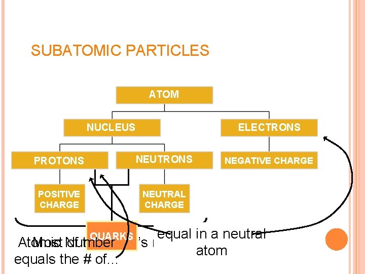 SUBATOMIC PARTICLES ATOM NUCLEUS ELECTRONS PROTONS NEUTRONS POSITIVE CHARGE NEUTRAL CHARGE NEGATIVE CHARGE equal