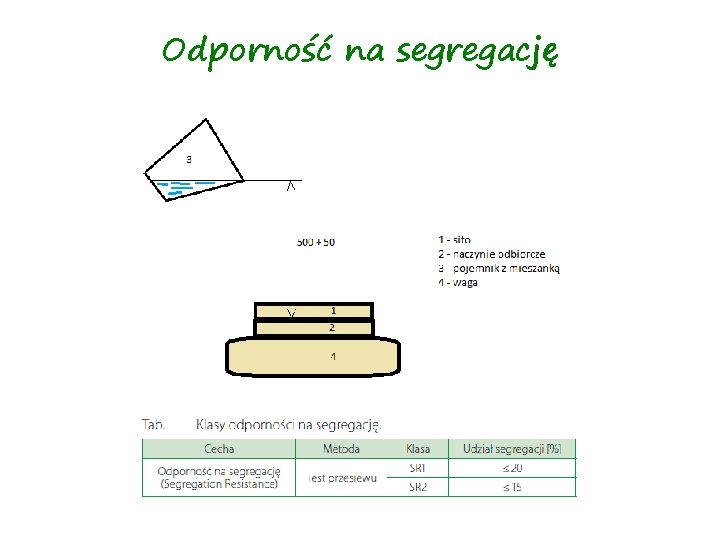 Odporność na segregację 