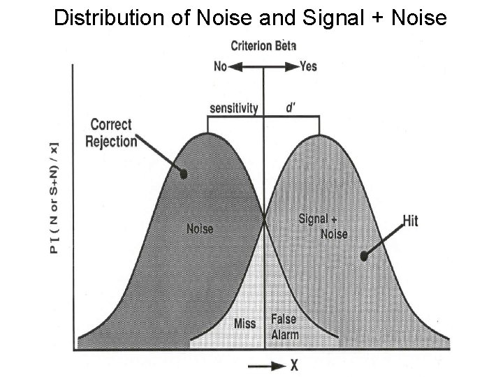 Distribution of Noise and Signal + Noise 