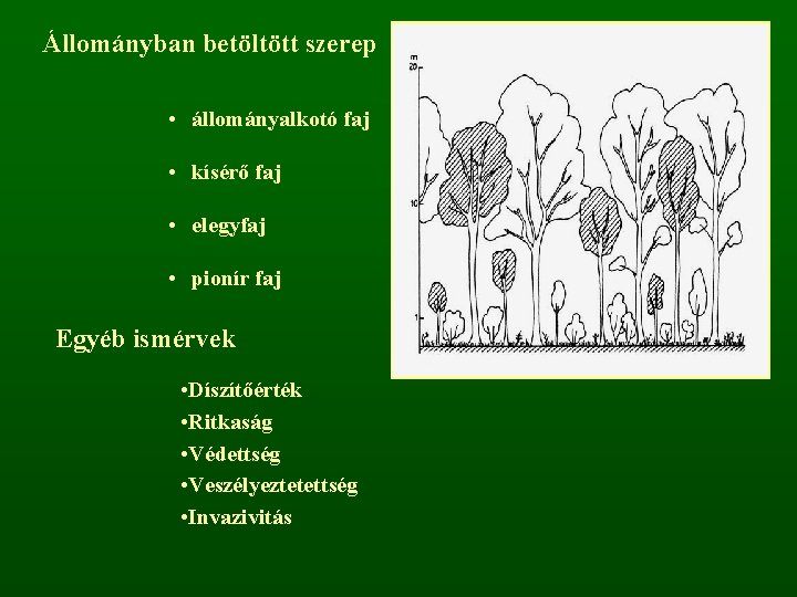 Állományban betöltött szerep • állományalkotó faj • kísérő faj • elegyfaj • pionír faj