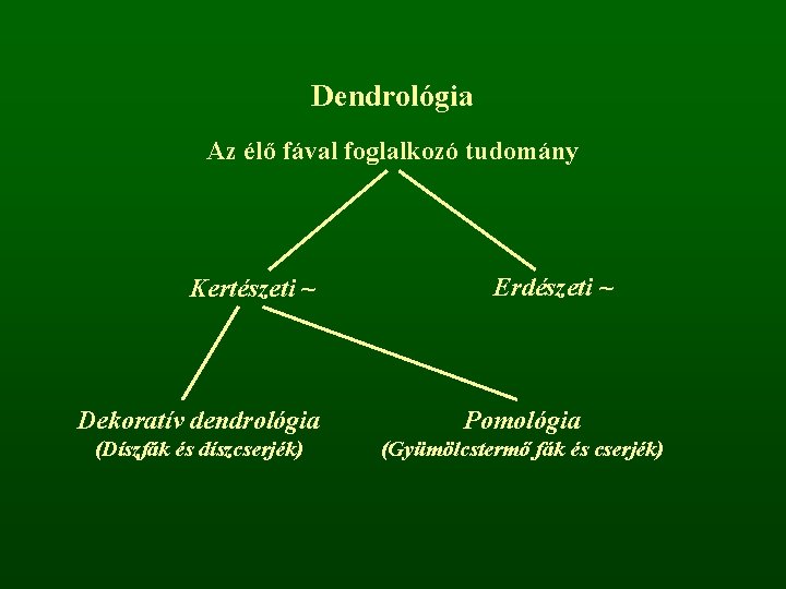 Dendrológia Az élő fával foglalkozó tudomány Kertészeti ~ Erdészeti ~ Dekoratív dendrológia Pomológia (Díszfák