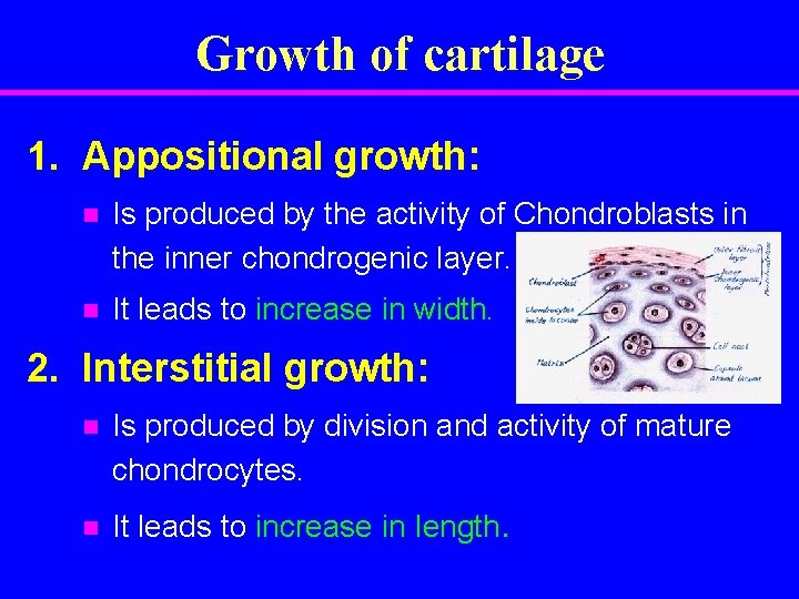 Growth of cartilage 1. Appositional growth: n Is produced by the activity of Chondroblasts